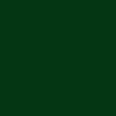kolor farby RAL6005 - Zielony mech